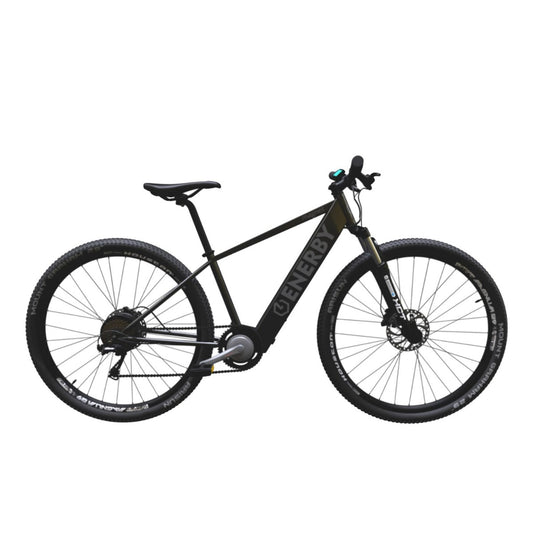 E-BIKE ENERBY MAGNET MTB R29