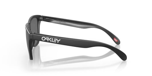 Oakley Frogskins Matte Black / Prizm Black Polarized