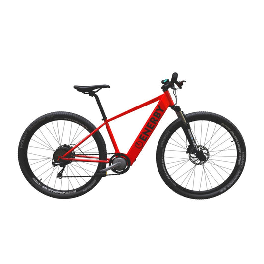 E-BIKE ENERBY MAGNET MTB R29 | ELÉCTRICA NACIONAL 350W